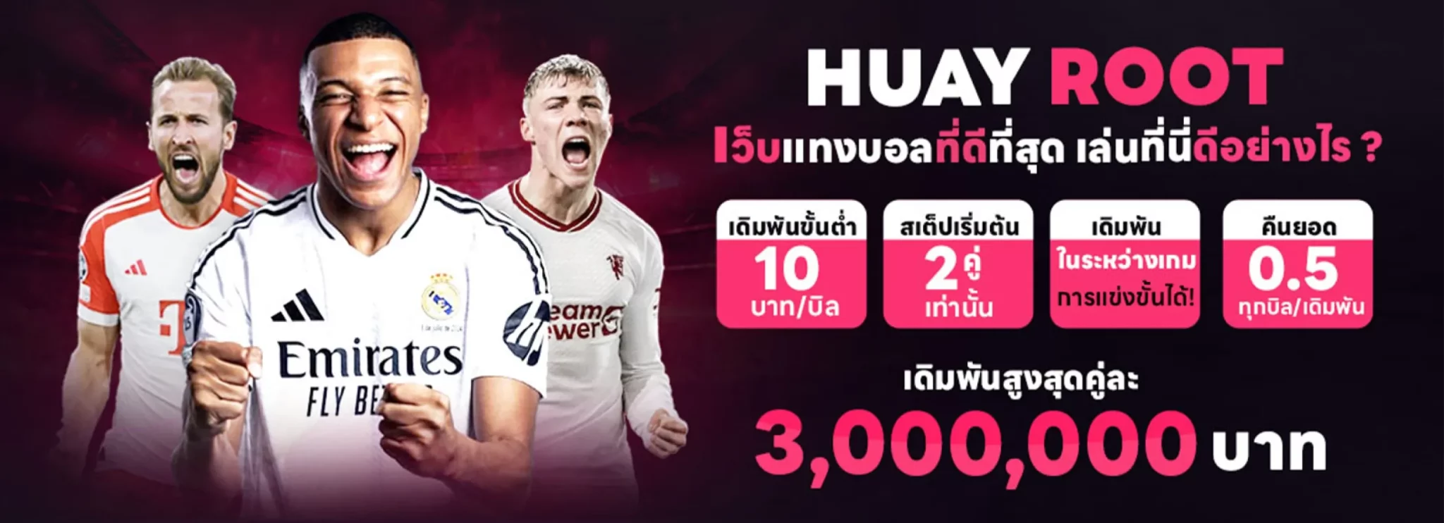 huayroot